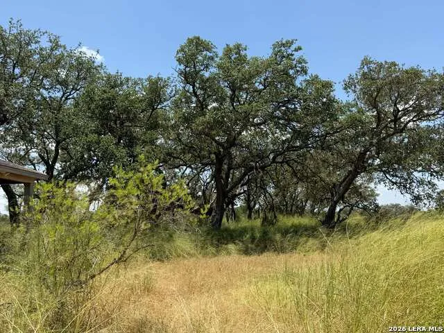 380 County Road 6723 Natalia, TX 78059