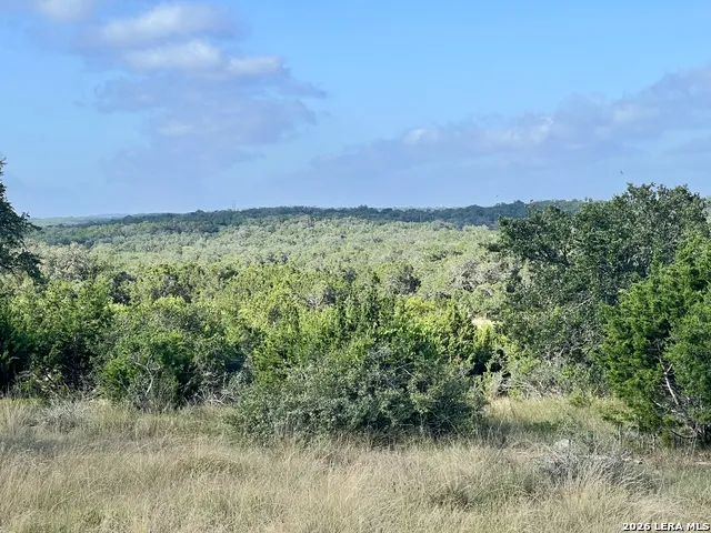 406 Plantation Path Boerne, TX 78006