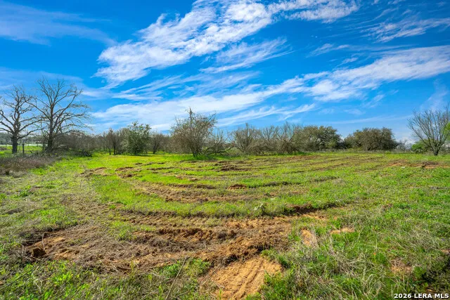 116 Tecolote Ln Floresville, TX 78114