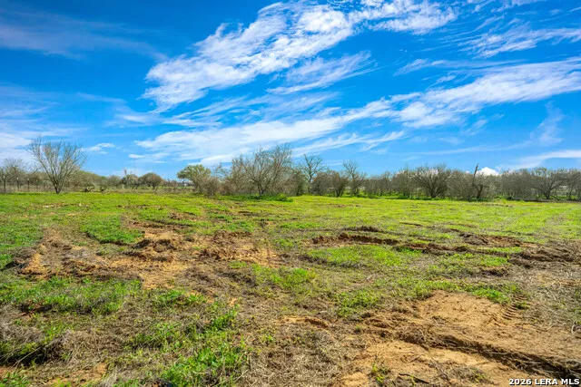 116 Tecolote Ln Floresville, TX 78114