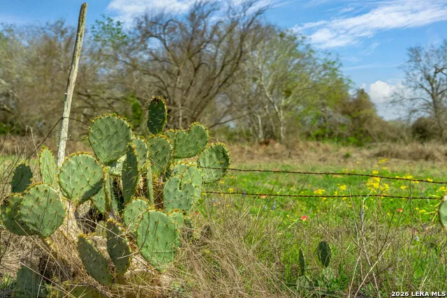 116 Tecolote Ln Floresville, TX 78114