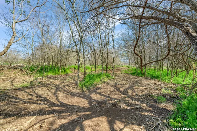 116 Tecolote Ln Floresville, TX 78114