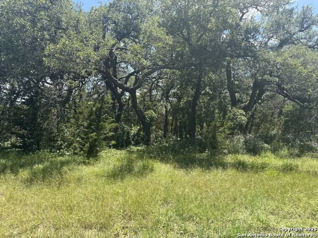 184 peyton colony Blanco, TX 78606