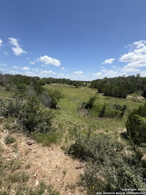 184 peyton colony Blanco, TX 78606