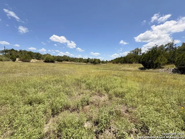 184 peyton colony Blanco, TX 78606