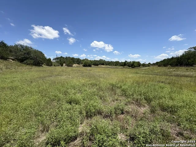 184 peyton colony Blanco, TX 78606