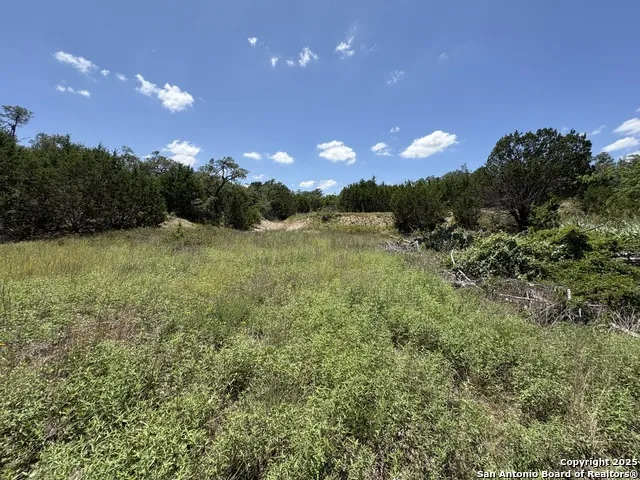 184 peyton colony Blanco, TX 78606