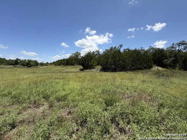 184 peyton colony Blanco, TX 78606