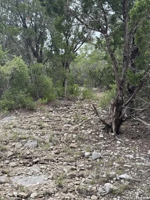 2190 Cr 650 Rocksprings, TX 78880