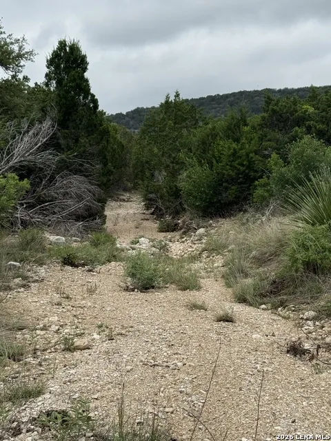 2190 Cr 650 Rocksprings, TX 78880
