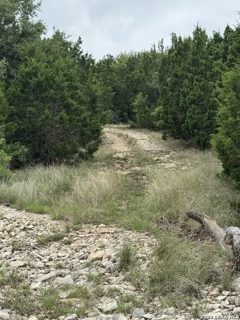 2190 Cr 650 Rocksprings, TX 78880