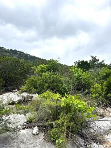 2190 Cr 650 Rocksprings, TX 78880
