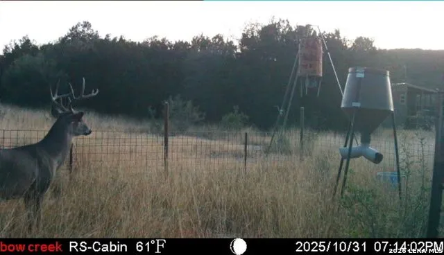 2190 Cr 650 Rocksprings, TX 78880