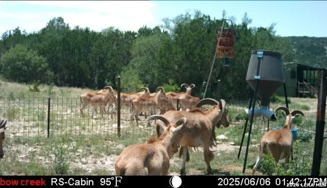 2190 Cr 650 Rocksprings, TX 78880