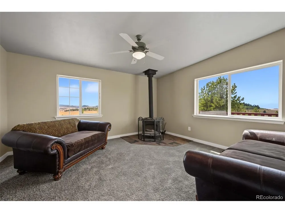 141 Hiawatha Circle Hartsel, CO 80449