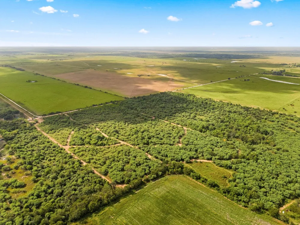 3346 Orange Hill Road Sealy, TX 77474