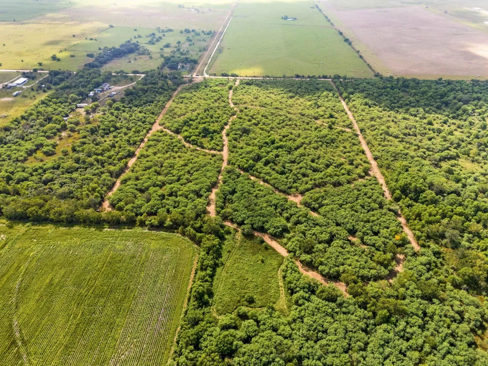 3346 Orange Hill Road Sealy, TX 77474