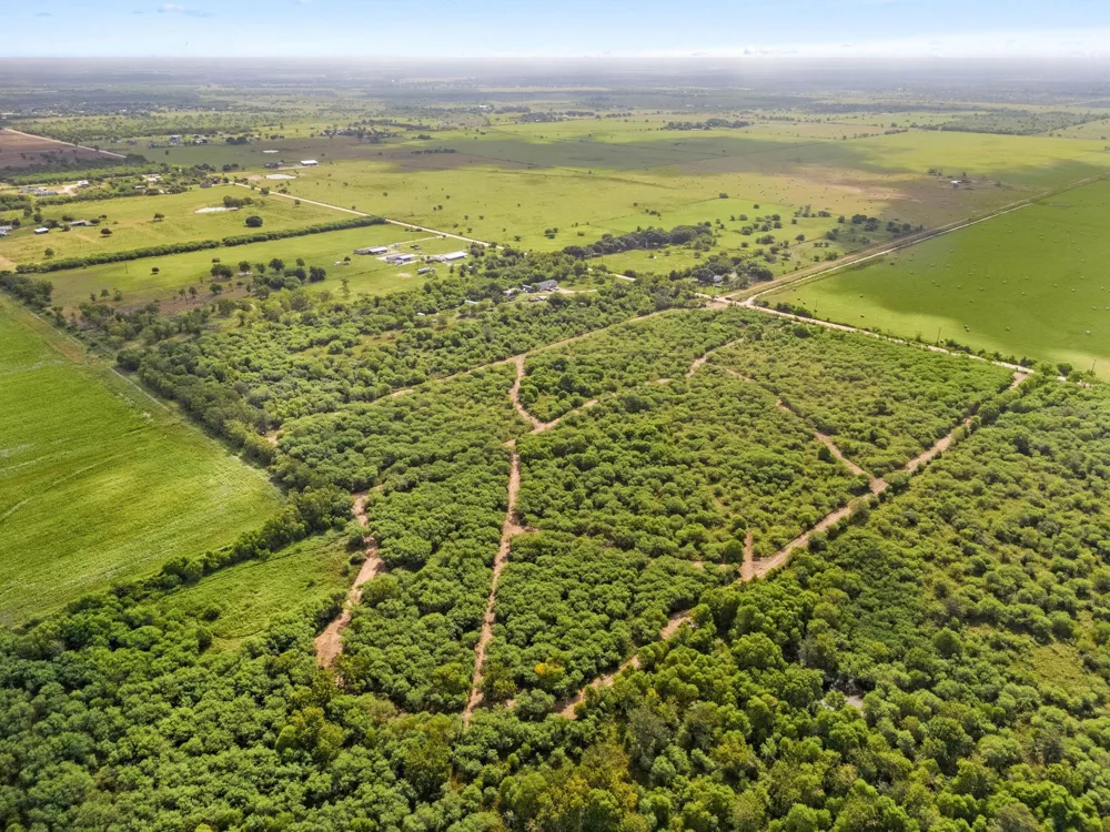 3346 Orange Hill Road Sealy, TX 77474