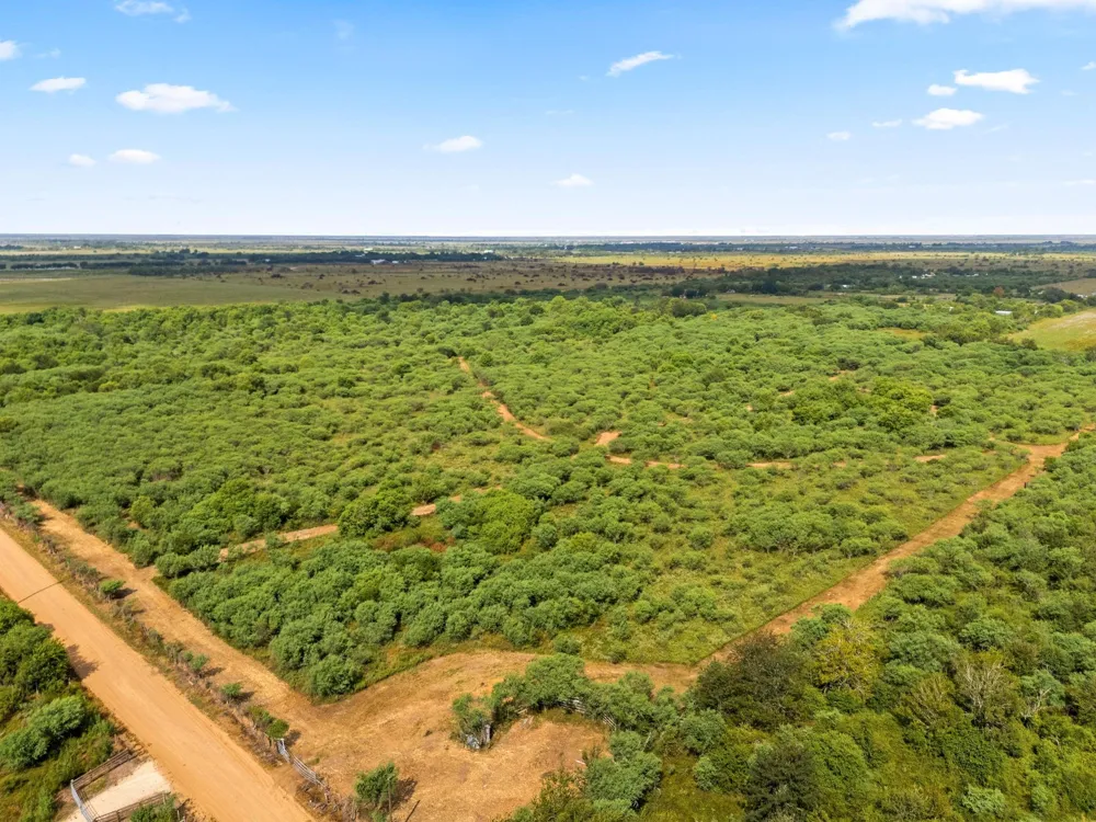 3346 Orange Hill Road Sealy, TX 77474