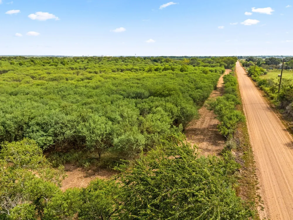 3346 Orange Hill Road Sealy, TX 77474