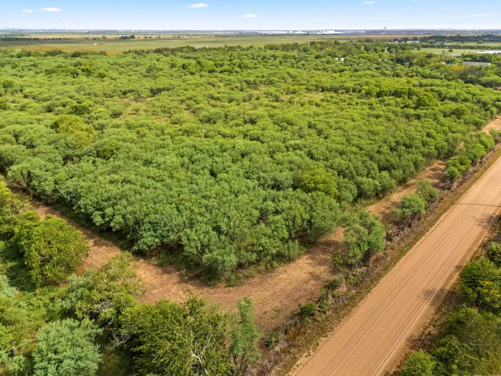 3346 Orange Hill Road Sealy, TX 77474