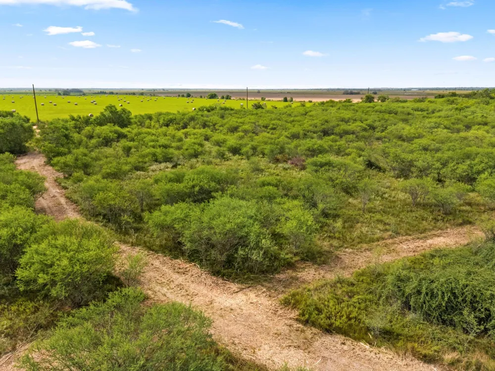 3346 Orange Hill Road Sealy, TX 77474
