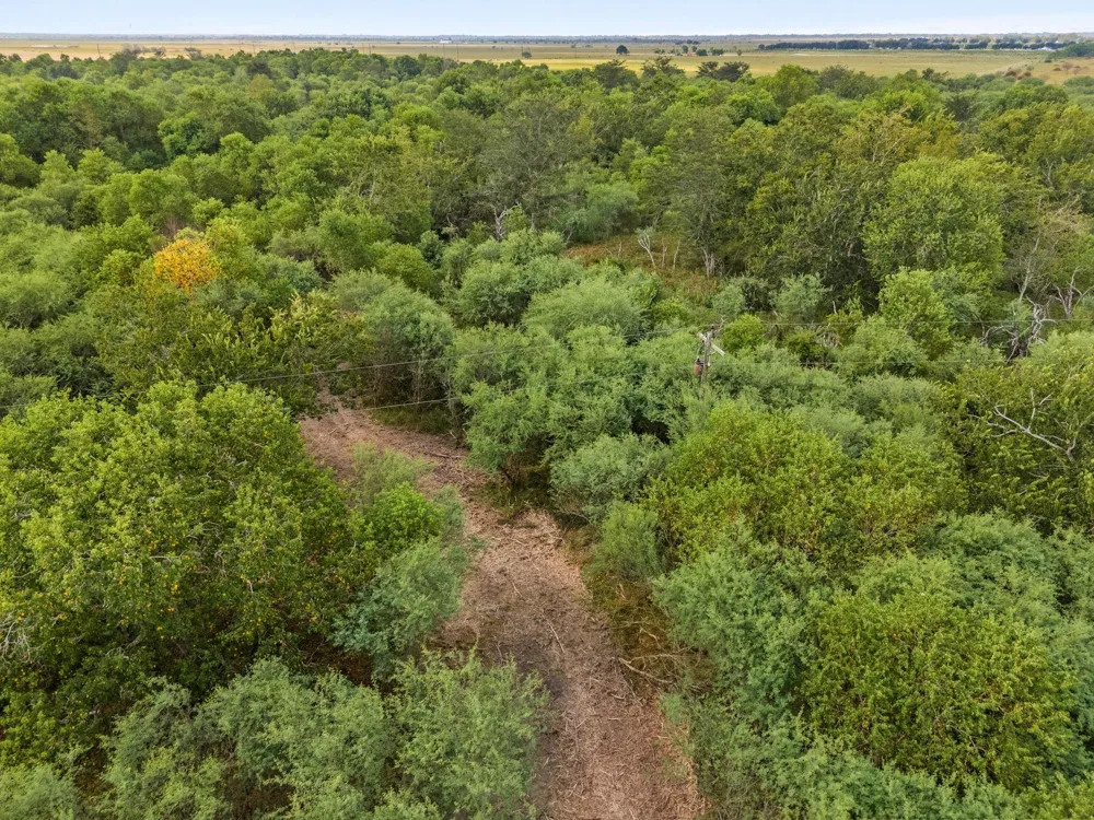 3346 Orange Hill Road Sealy, TX 77474