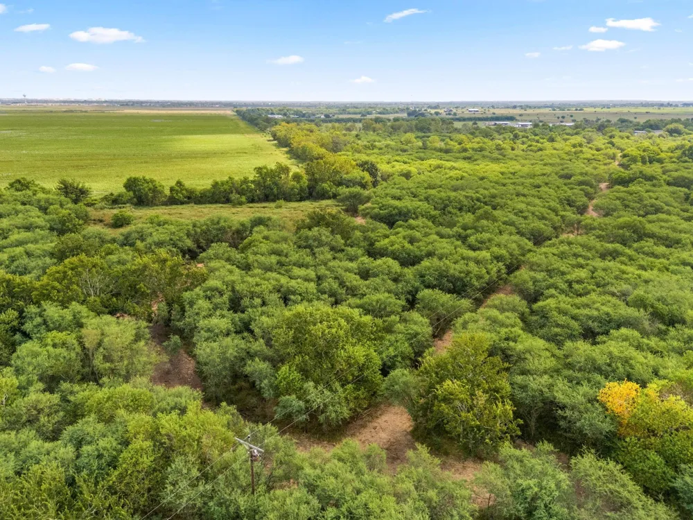 3346 Orange Hill Road Sealy, TX 77474