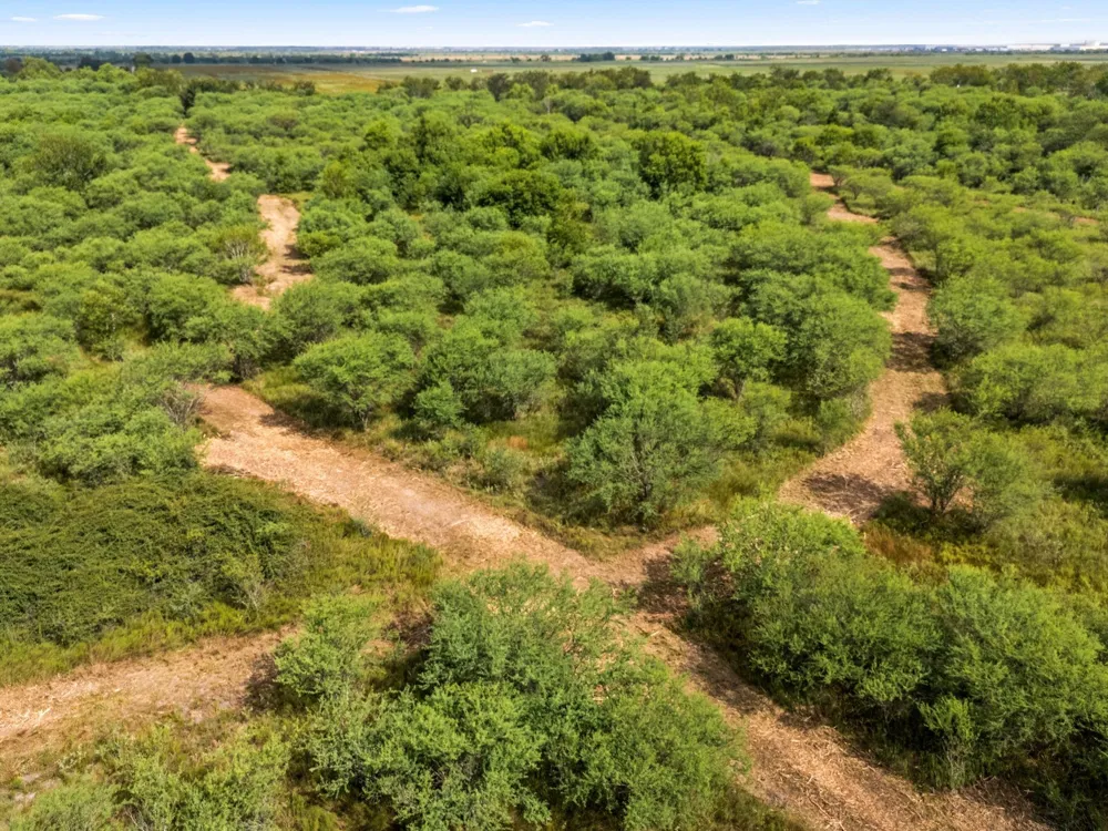 3346 Orange Hill Road Sealy, TX 77474