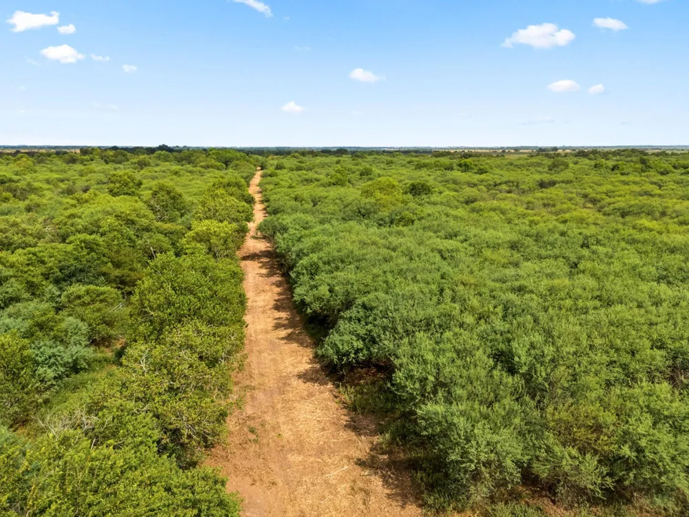 3346 Orange Hill Road Sealy, TX 77474