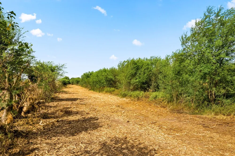 3346 Orange Hill Road Sealy, TX 77474
