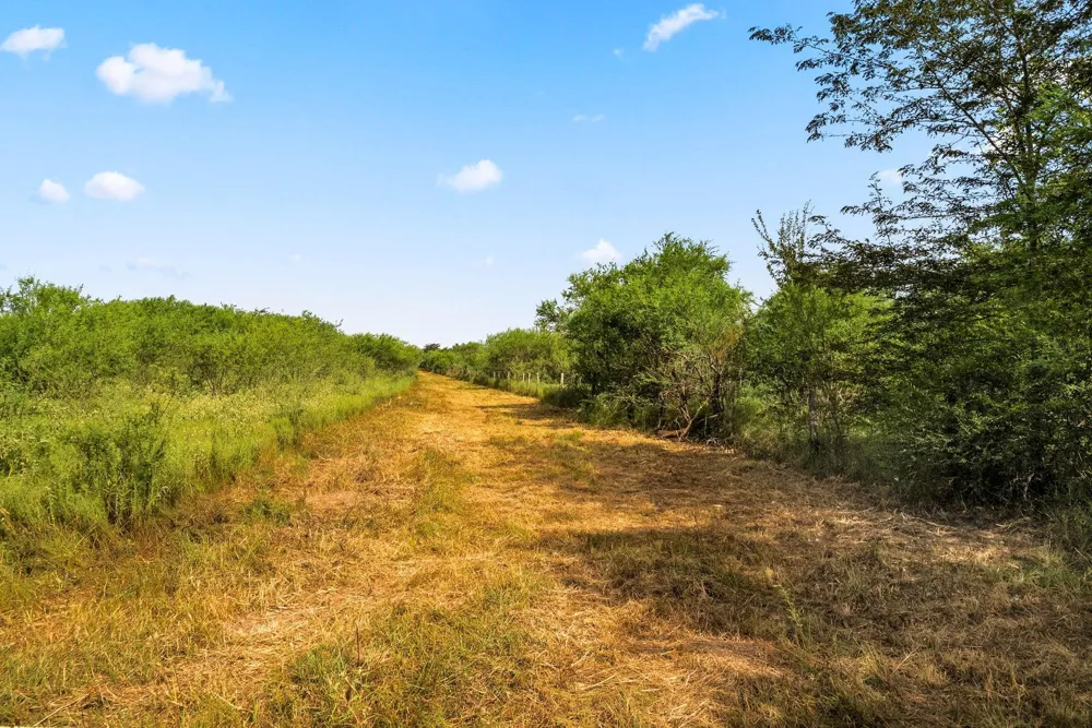 3346 Orange Hill Road Sealy, TX 77474