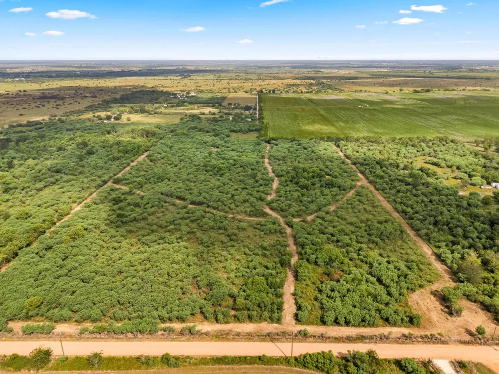 3346 Orange Hill Road Sealy, TX 77474
