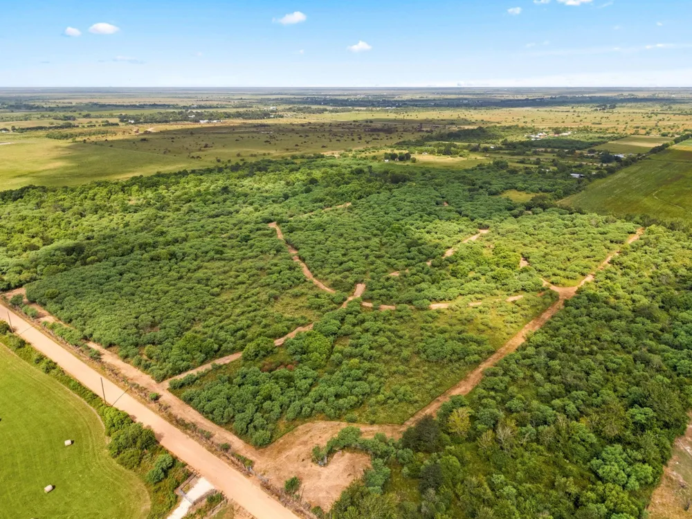 3346 Orange Hill Road Sealy, TX 77474