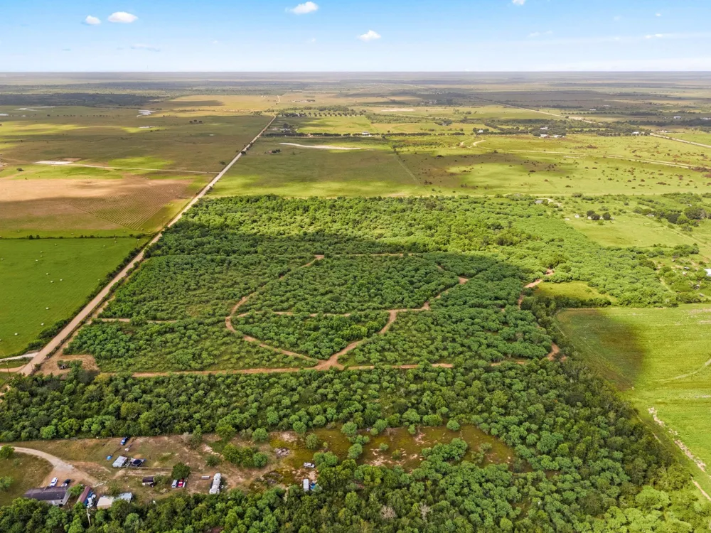 3346 Orange Hill Road Sealy, TX 77474