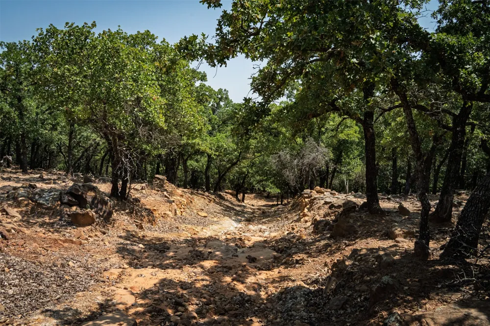 400 Pumphrey Road Loving, TX 76460