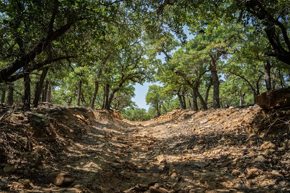 400 Pumphrey Road Loving, TX 76460