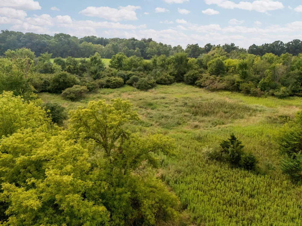 2703 Maize Lp Saline Township, MI 48176
