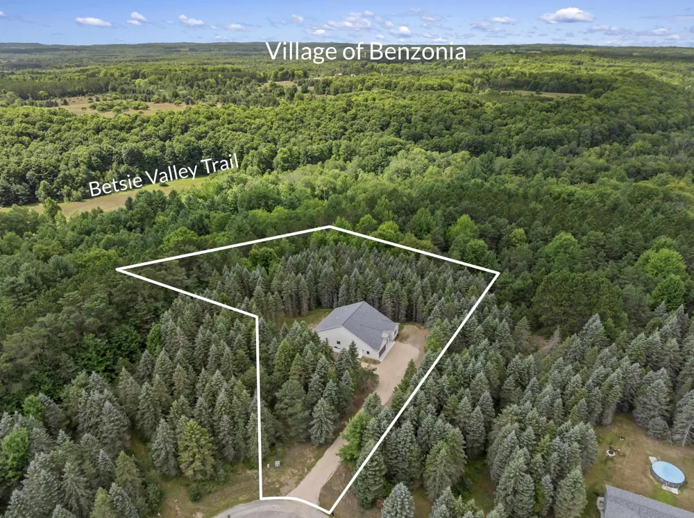 1358 S Lipp Farm Road Benzonia Township, MI 49616