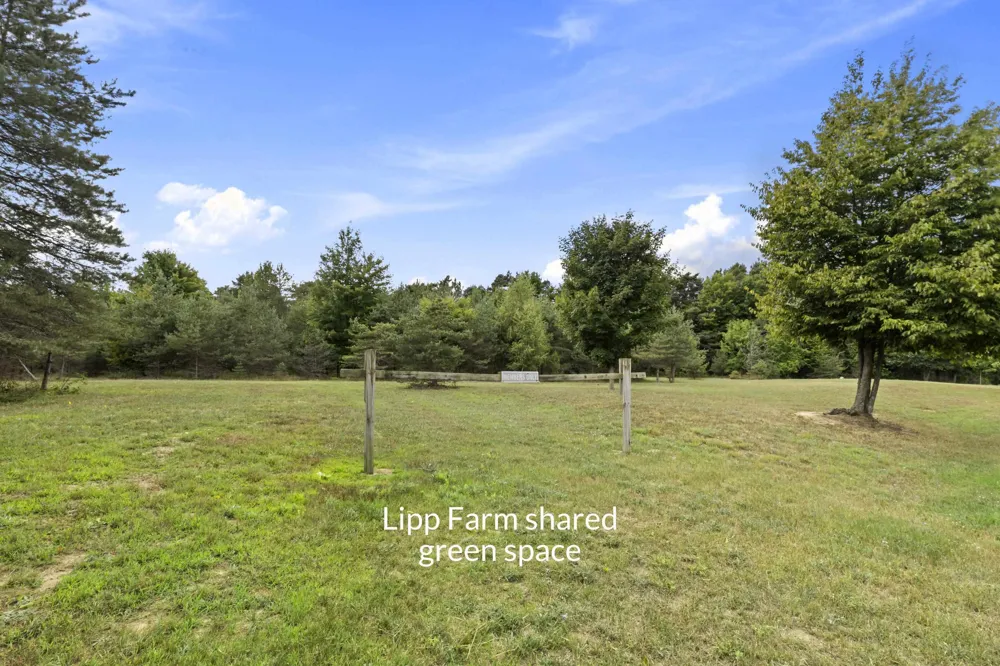1358 S Lipp Farm Road Benzonia Township, MI 49616