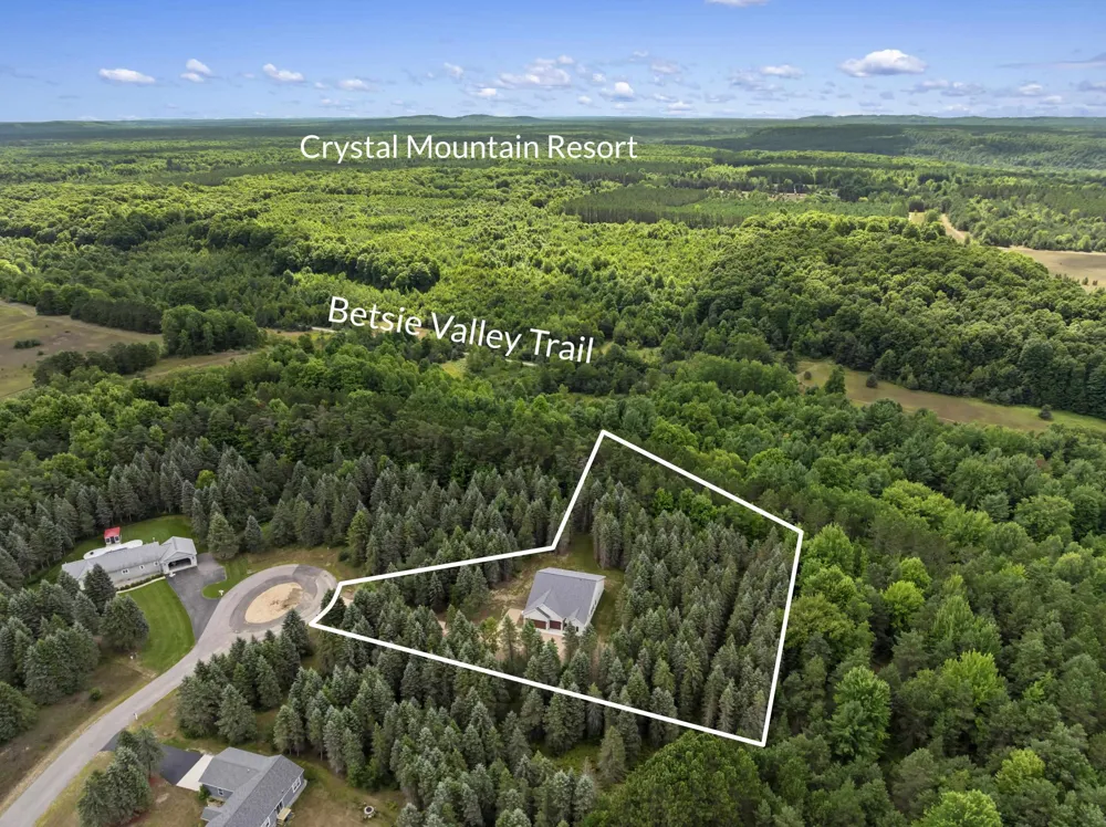 1358 S Lipp Farm Road Benzonia Township, MI 49616