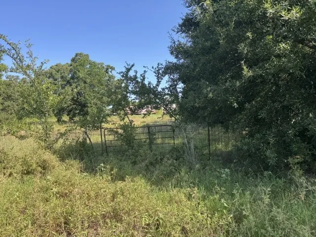 County Rd. 1300 Emory, TX 75440