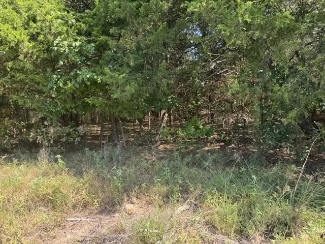 County Rd. 1300 Emory, TX 75440