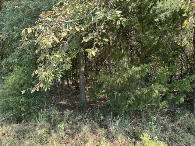 County Rd. 1300 Emory, TX 75440