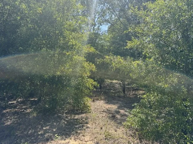 County Rd. 1300 Emory, TX 75440