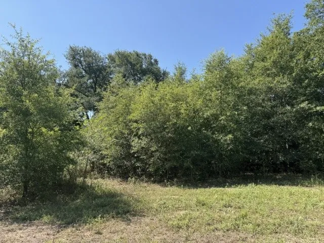 County Rd. 1300 Emory, TX 75440
