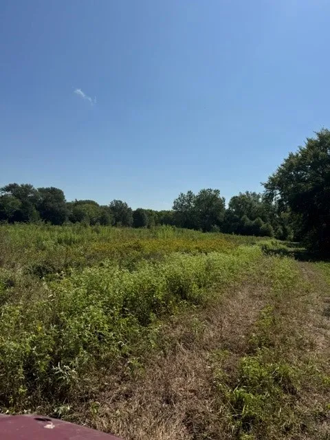 County Rd. 1300 Emory, TX 75440