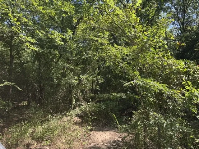 County Rd. 1300 Emory, TX 75440