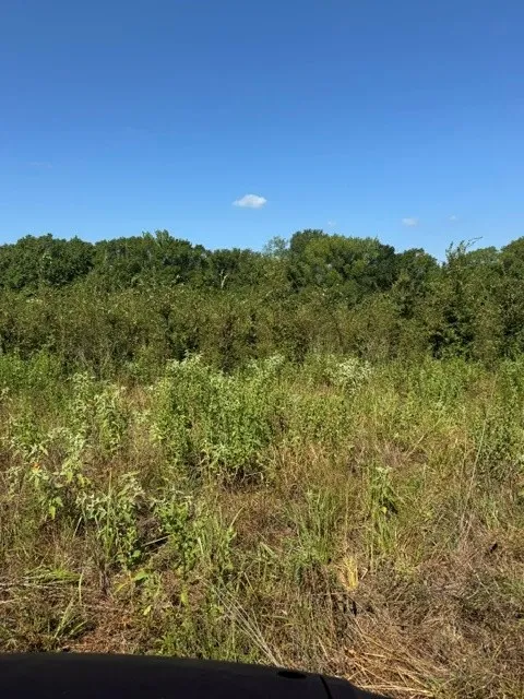 County Rd. 1300 Emory, TX 75440