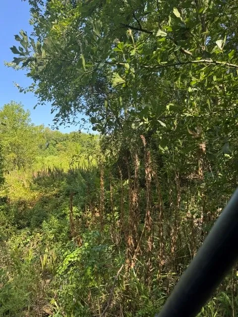 County Rd. 1300 Emory, TX 75440